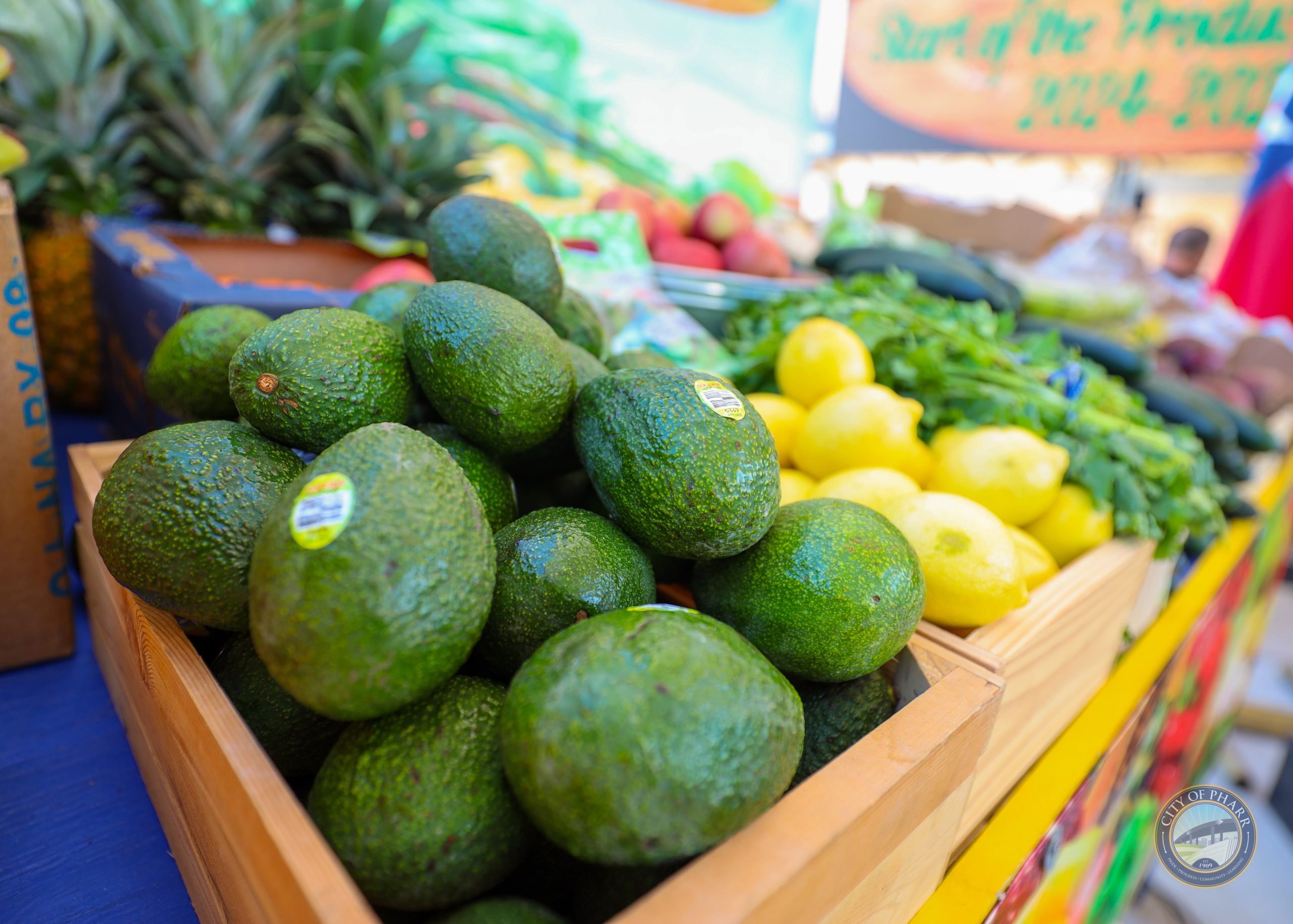 Pharr Bridge Celebrates 30 Years of “Connecting Two Nations” with 11th Annual Produce Season Kickoff